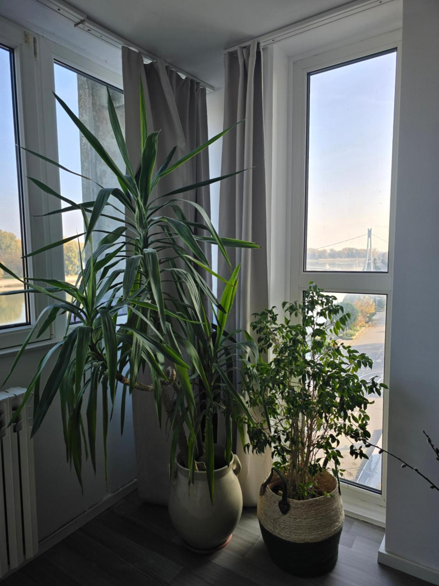 Riverview Apartment Ösek Dış mekan fotoğraf